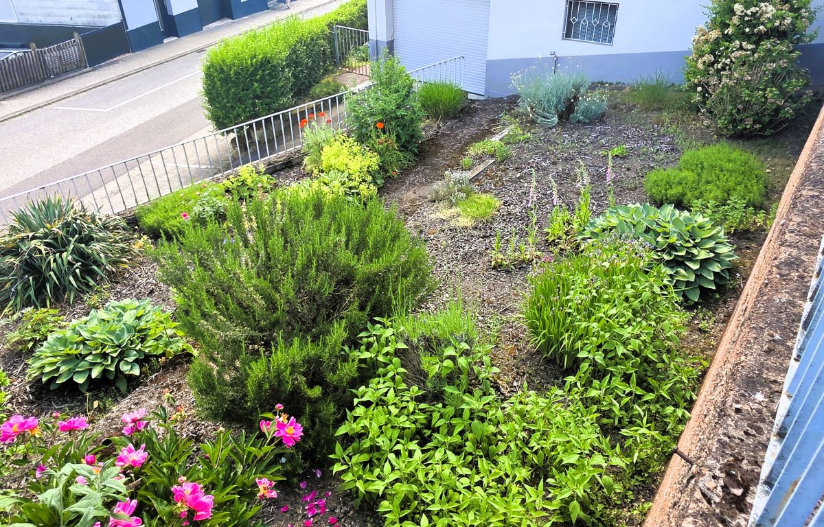 EFH zu verkaufen im Saarland- Gartenbereich